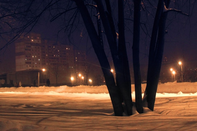 Invierno en la ciudad Noche