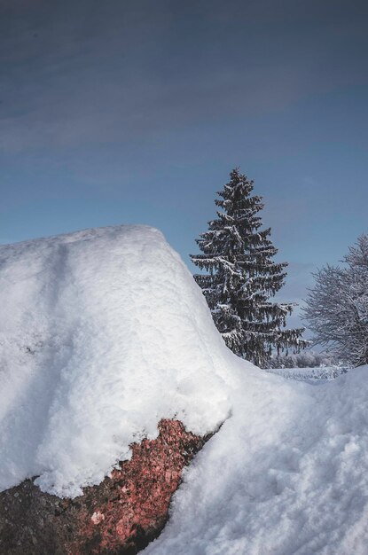 Invierno cubierto de nieve fuera de la ciudad