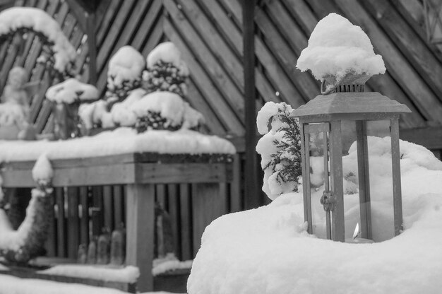 invierno frío en el jardín