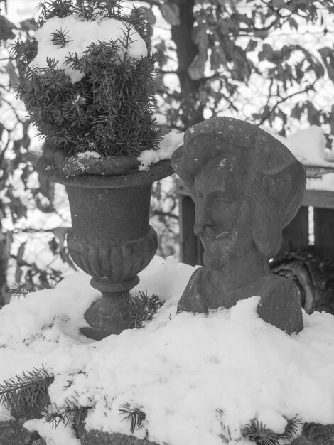 Foto invierno en el jardín