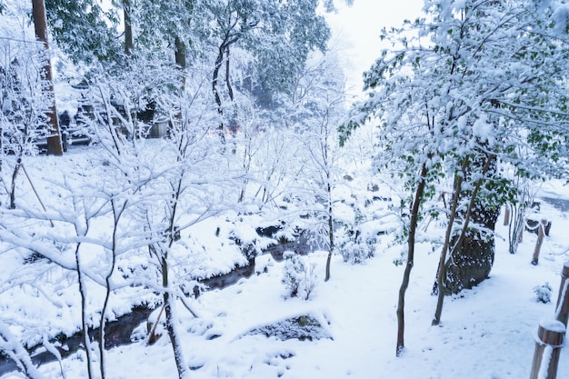 Invierno en Kyoto.