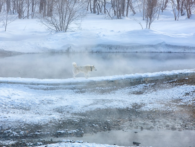 El invierno mineral caliente en el centro de recreación en el pueblo de Malki en Kamchatka