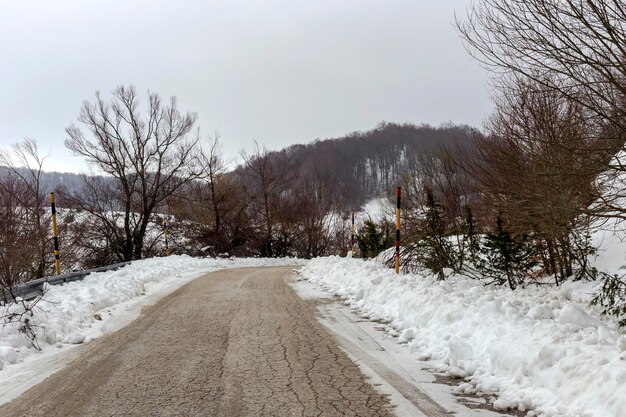 Invierno en las montañas Bosque de pinos en la región montañosa de Epiro Grecia y carretera rural en un día frío y nevado de invierno