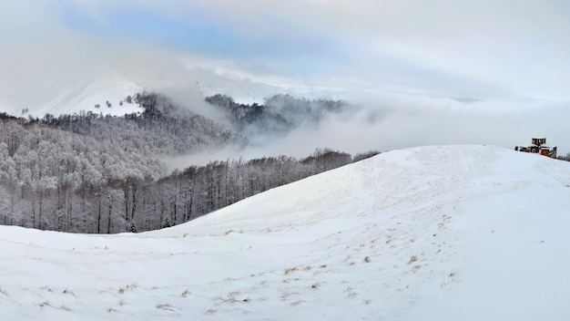 Invierno en las montañas de los Cárpatos