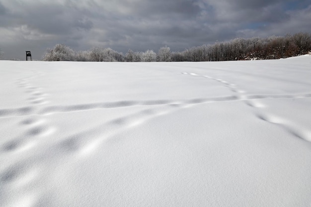 Invierno en las montañas de Samoborsko Gorje Croacia