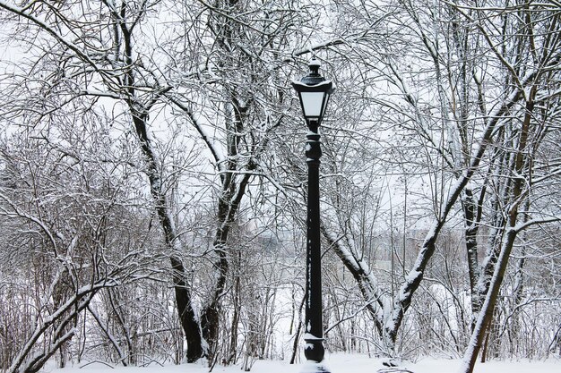 Invierno Navidad y año nuevo Parque nevado de la ciudad tranquila Paisaje invernal