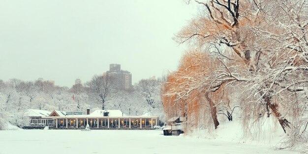 Invierno panorámico de Central Park en el centro de Manhattan, Nueva York