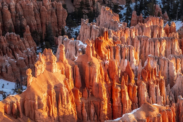 Invierno en el Parque Nacional Bryce Canyon, Utah, EE.