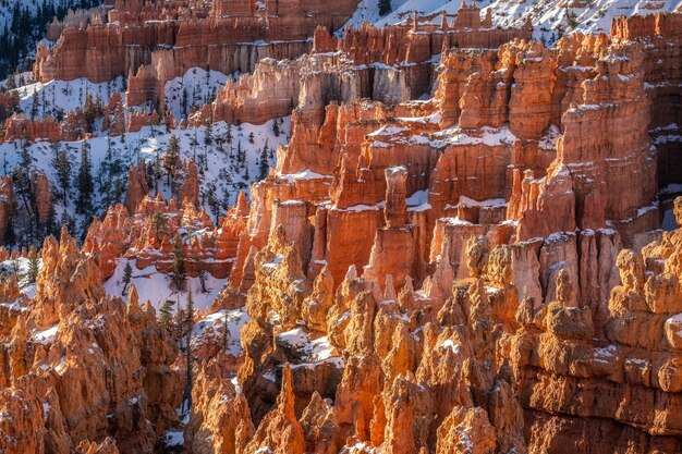 Invierno en el Parque Nacional Bryce Canyon, Utah, EE.