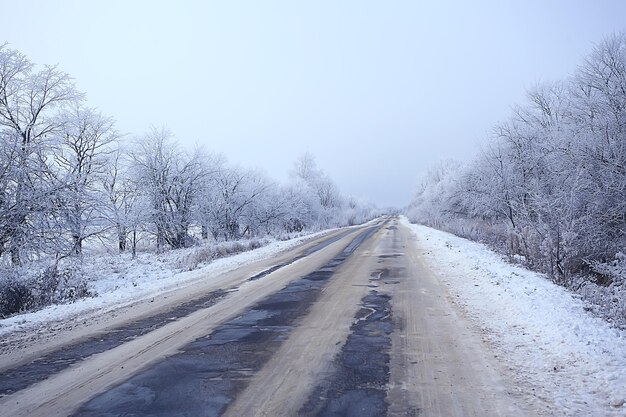 Invierno en el pueblo ruso / paisaje invernal, bosque en Rusia, árboles cubiertos de nieve en la provincia