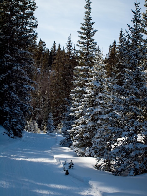 Invierno en San Juan Mointains, Colorado.