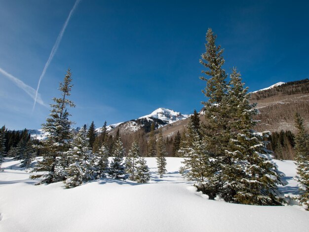 Invierno en San Juan Mointains, Colorado.