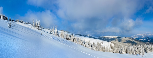 Invierno tranquilo paisaje de montaña con bosque de abetos y grupo de cobertizos en pendiente