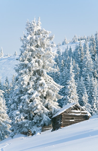 Invierno tranquilo paisaje de montaña con cobertizo (Monte Kukol, Cárpatos, Ucrania)