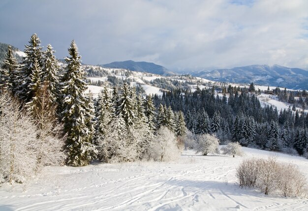 Invierno tranquilo paisaje de montaña con escarcha y abetos cubiertos de nieve y pista de esquí