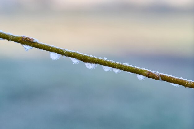 Foto invierno