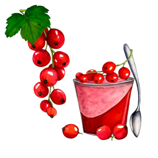 Iogurte aquarela com bagas de groselha isoladas no fundo branco Ilustração desenhada à mão Clip art berry Jar com iogurte jellydessert Cor Viva Magenta