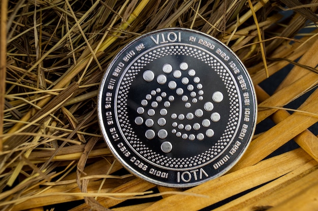 Iota é uma forma moderna de troca