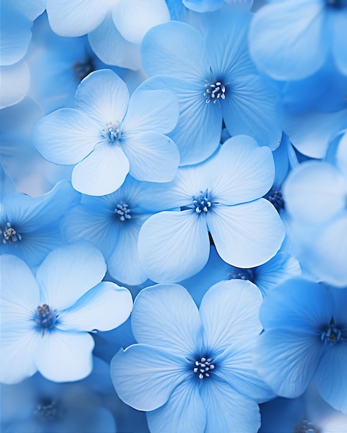 Foto iphone-wallpapier im stil von blauen blumen