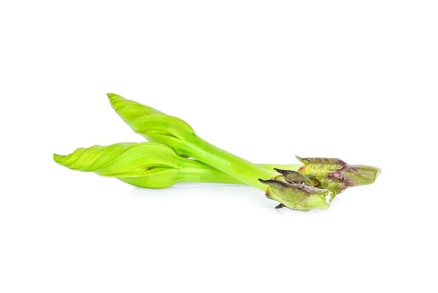 Ipomoea alba em fundo branco