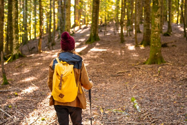 Irati-Wald oder Dschungel im Herbst, ein junger Wanderer auf einer Wanderung. Ochagavia, nördliches Navarra in Spanien