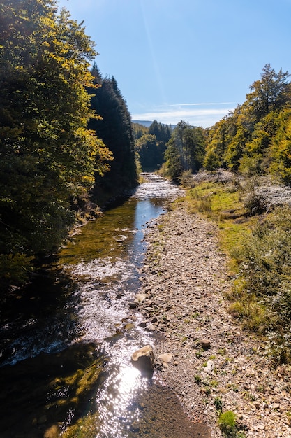 Irati-Wald oder Dschungel im Herbst, Fluss in Richtung des Irabia-Stausees. Ochagavia, nördliches Navarra in Spanien
