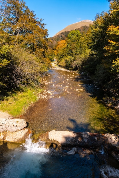 Foto irati-wald oder dschungel im herbst, fluss in richtung des irabia-stausees. ochagavia, nördliches navarra in spanien