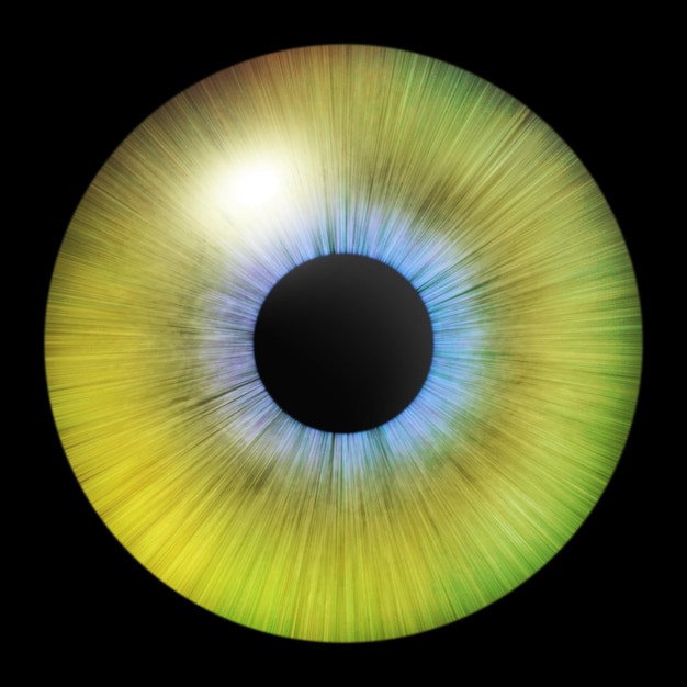 Iris des Auges Menschliche Iris Auge Illustration Gelbes Auge auf Schwarz Kreatives digitales Design