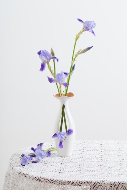 Iris in der Vase auf weißem Raum