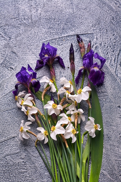 Iris violetas y narcisos blancos sobre fondo gris.
