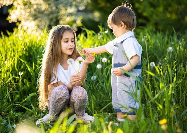 Irmão e irmã em roupas de verão brilhantes. Divertido e engraçado brincar com flores brancas e amarelas fofas contra o pano de fundo de grama alta e árvores verdes exuberantes no jardim de primavera.