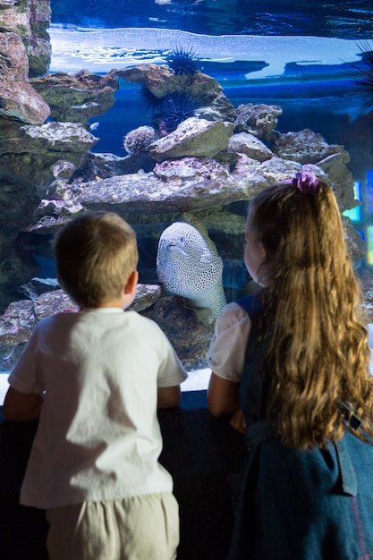 Irmãos pequenos olhando o tanque de peixe