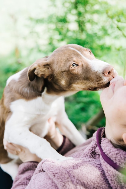 Irreconhecível jovem brincando com seu cachorro e aproveitando o momento