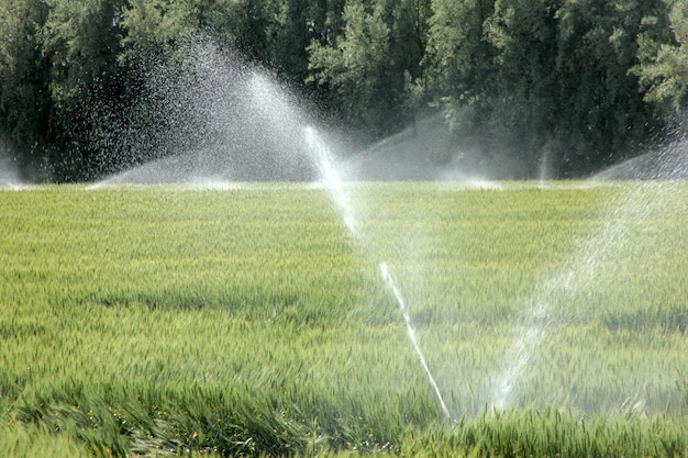 irrigação de terras agrícolas