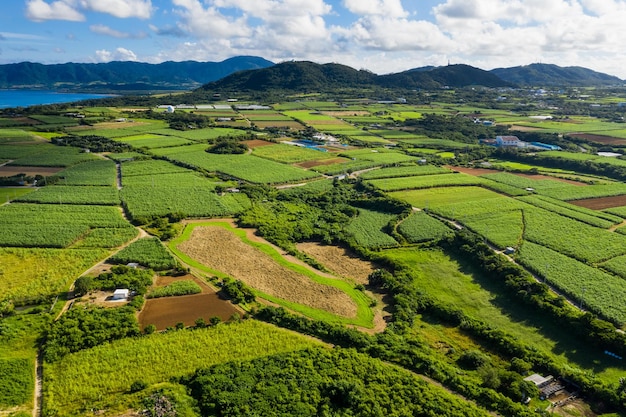 Ishigaki isla de Japón