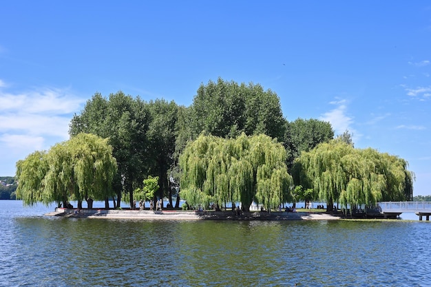 Una isla de amor en el lago de la ciudad de Ternopil