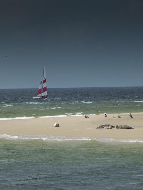 Foto la isla de borkum