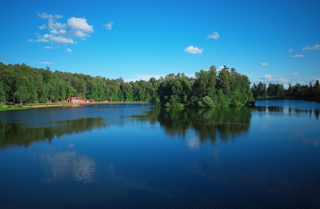 Isla del bosque en el fondo del parque fluvial