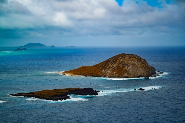 Foto la isla del conejo.