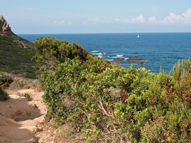 Foto la isla de córcega