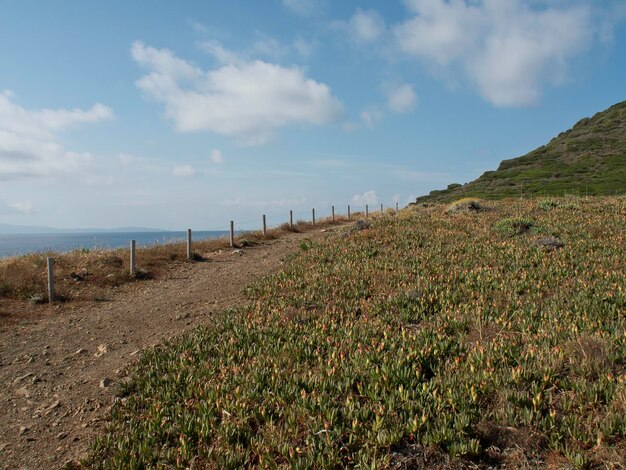 Foto la isla de córcega