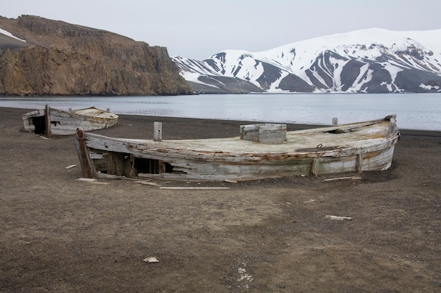 Isla Decepción en la Antártida