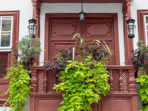 Foto la isla española de la palma