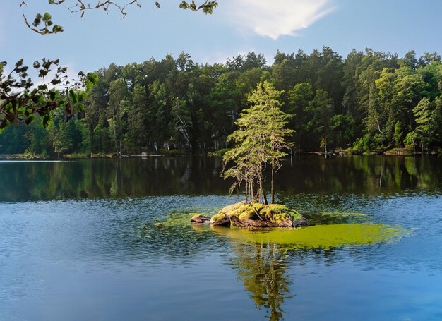 isla flotante