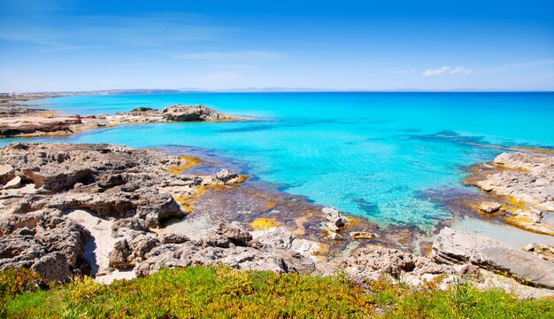 Isla formentera balear en la playa rocosa de escalo