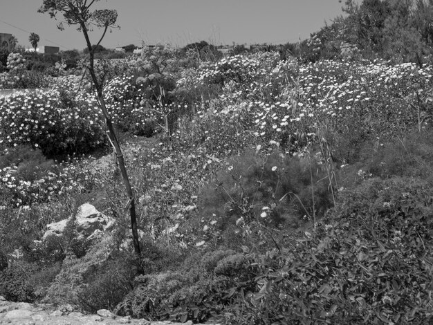 la isla de Gozo