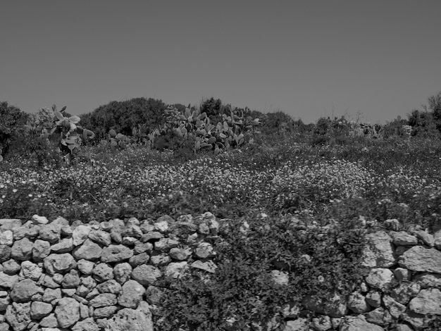 La isla de Gozo