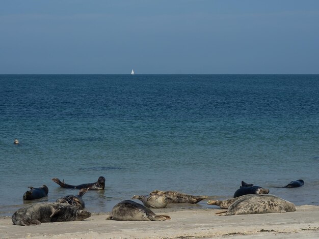 La isla de Helgoland