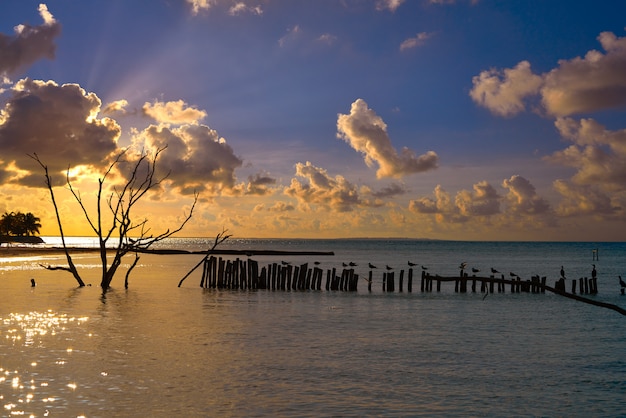 Isla de holbox playa puesta de sol en mexico