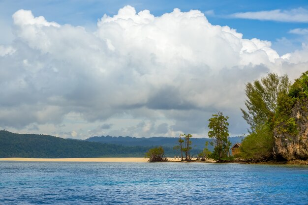 Isla en Indonesia. Raja Ampat. Playa vacía en la orilla de una isla tropical. Una cabaña solitaria se esconde detrás de los árboles